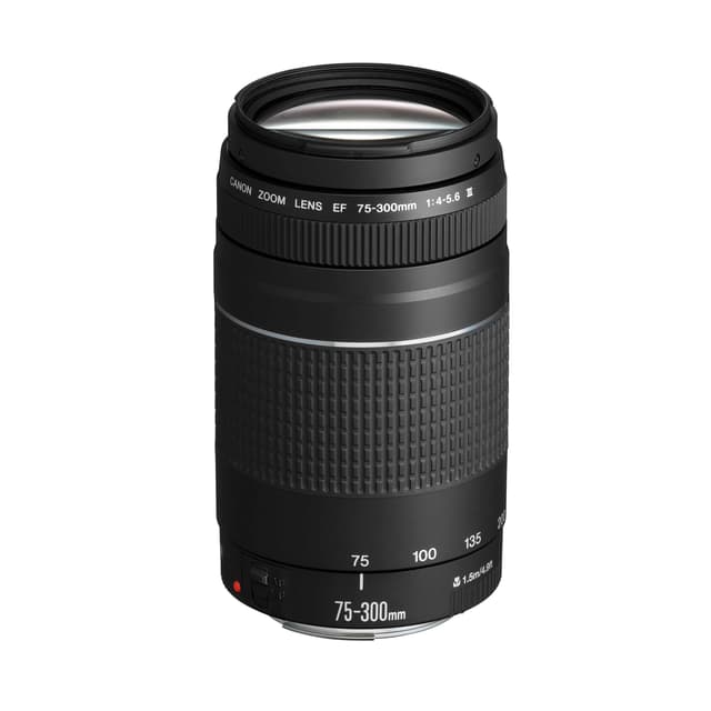 Angebot: Canon EF 75-300mm F4.0-5.6 III Zoomobjektiv ⭐️📸