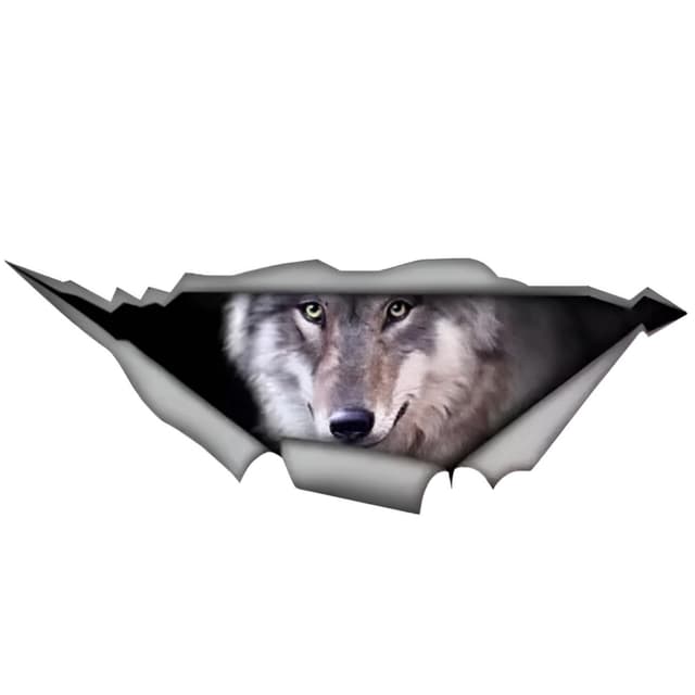 Autoaufkleber 25cm(9.8 Zoll) Wolf Aufkleber 🐺🚗 Wasserdichte 3D Zerrissen Metall Aufkleber