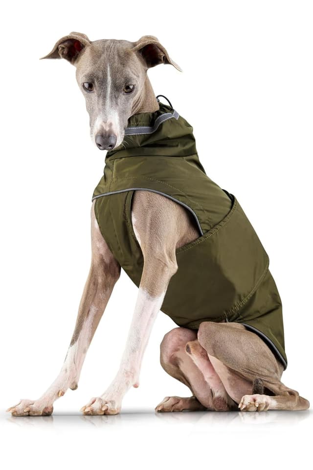 ZAUBERPFOTE® Hunderegenmantel London | Wasserdicht & Maschinenwaschbar | Regenmantel für Hunde