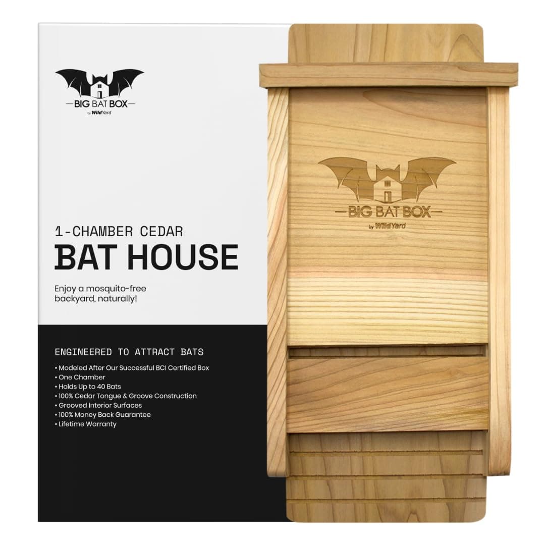 🦇🌿 WildYard Fledermauskasten aus Zedernholz - Wetterfest & Unlackiert - Nistkasten ohne Bohren