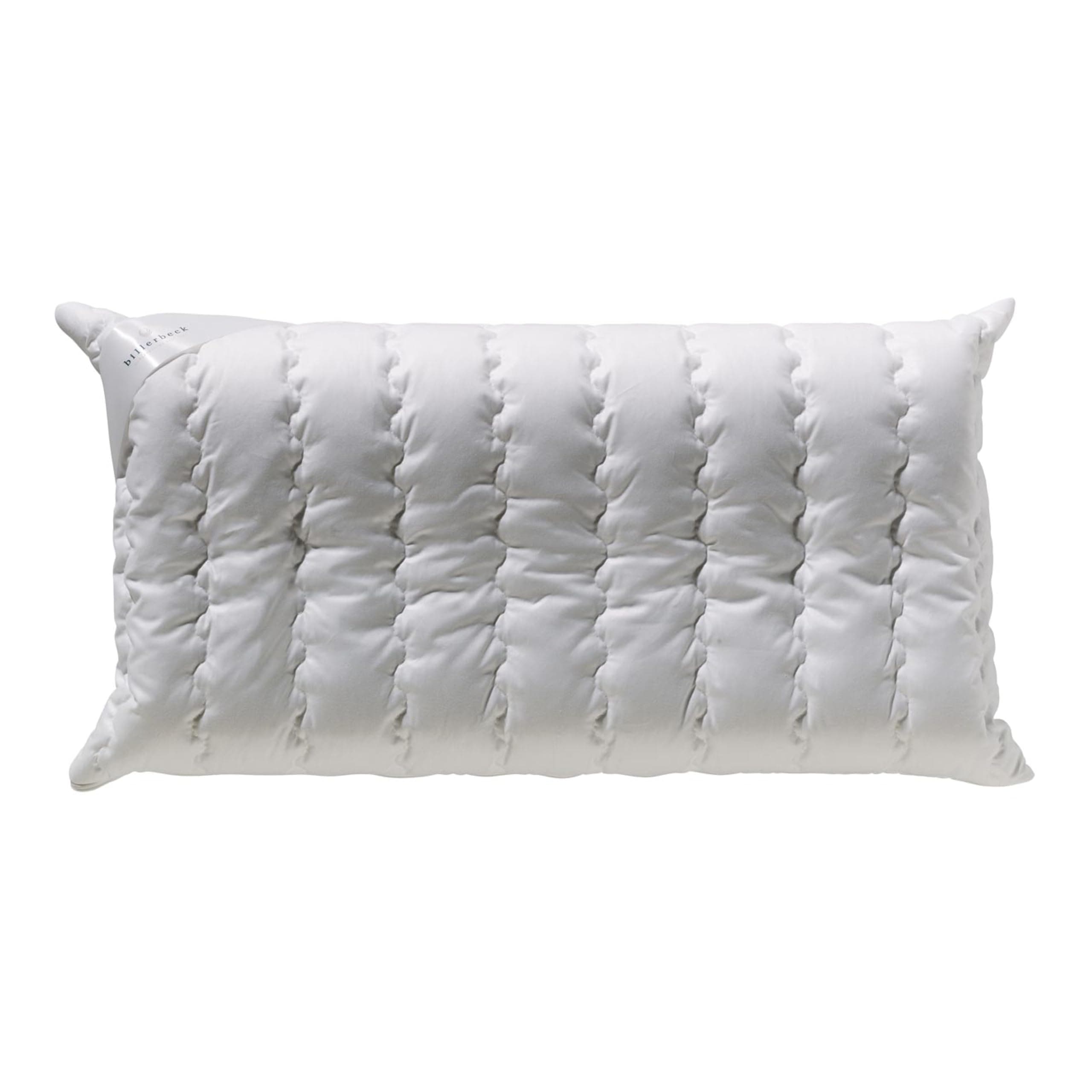 Angebot: Billerbeck Kopfkissen S20 Visco - Nackenkissen 🌙