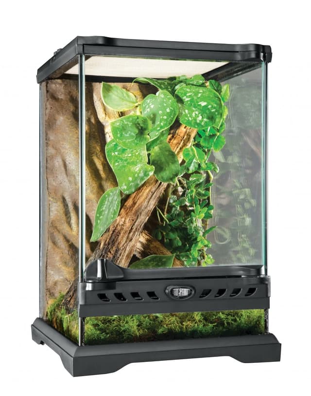 🌿 Exo Terra Terrarium aus Glas 🦎