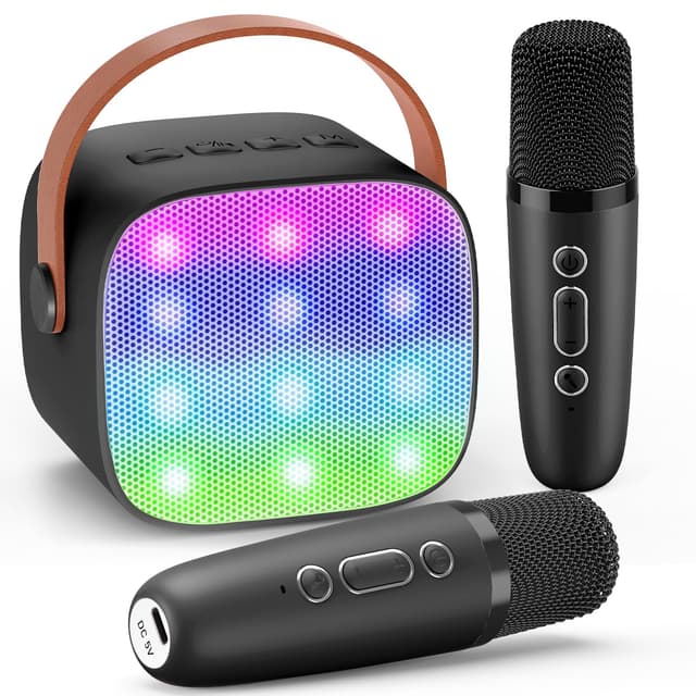 🎤 Dislocati Karaoke Maschine mit 2 Karaoke Mikrofon Bluetooth 🎶