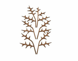 🌿 Alessi Diffusorblätter, Holz, One Size - Sonderangebot! 🎉