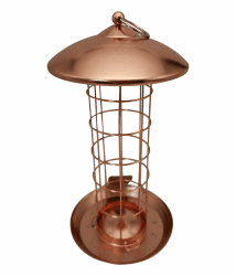 Dehner Natura Premium Wildvogel Meisenknödelsäule Joelle 🐦🌿