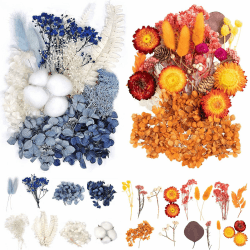 Angebot: Gepresste Blumen - Trockenblumen Basteln 🌸🎨