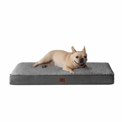 🐾 EHEYCIGA Orthopädisches Hundebett für Kleine Hunde 🦴