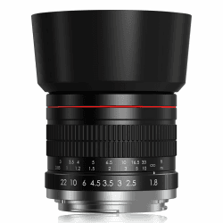 Lightdow RF 85mm F1.8 Manuelles Objektiv für Canon RF Mount 📸