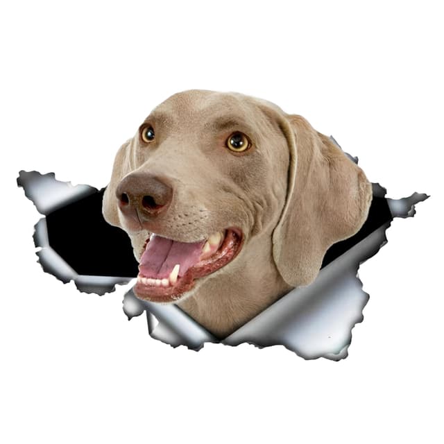 Autoaufkleber 25cm Weimaraner Aufkleber 3D Zerrissen Metall Reflektierende Aufkleber