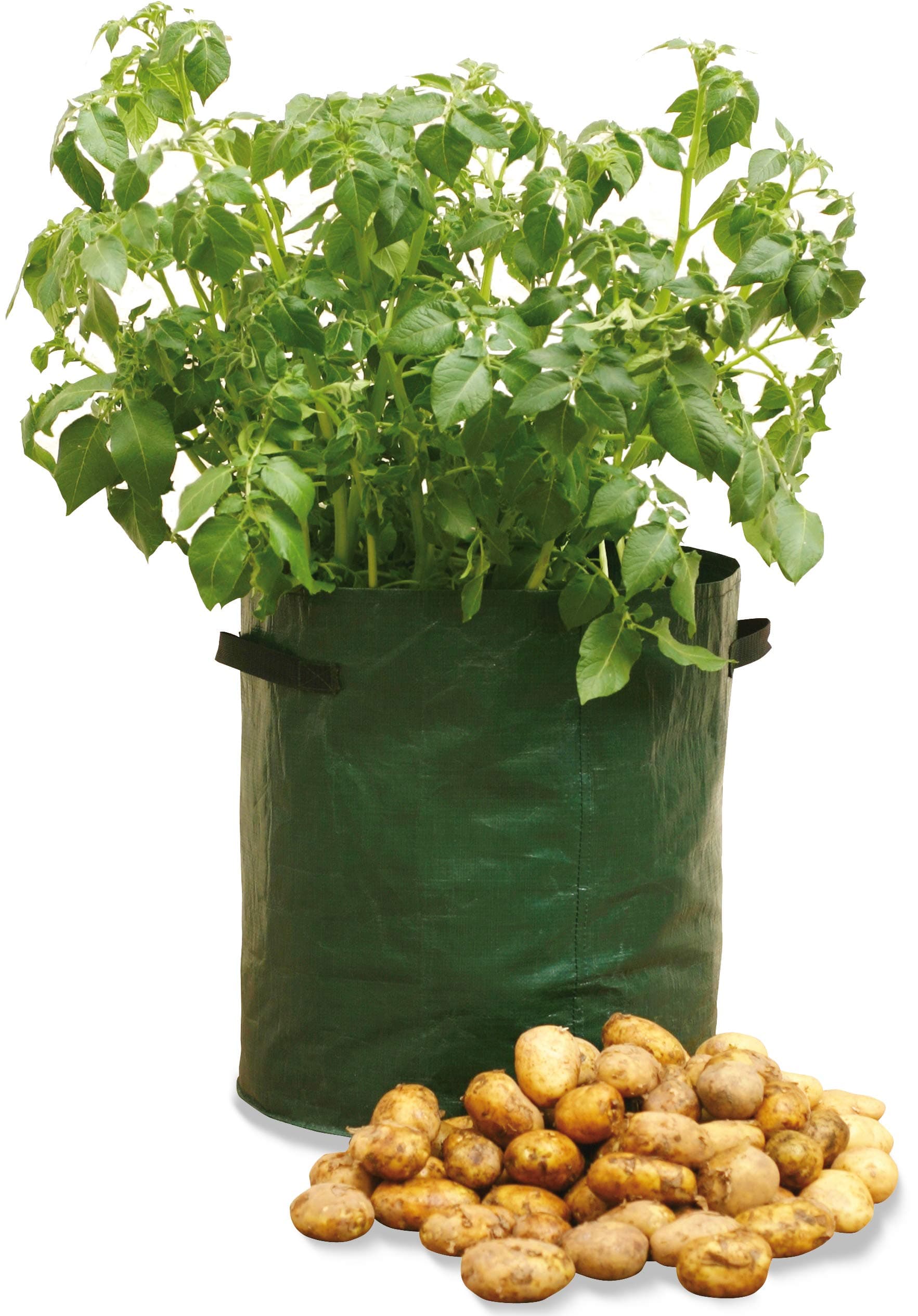 🥔🌿 Haxnicks Kartoffel-Pflanzgefäße - 3er Pack, grün - 35x35x45 cm