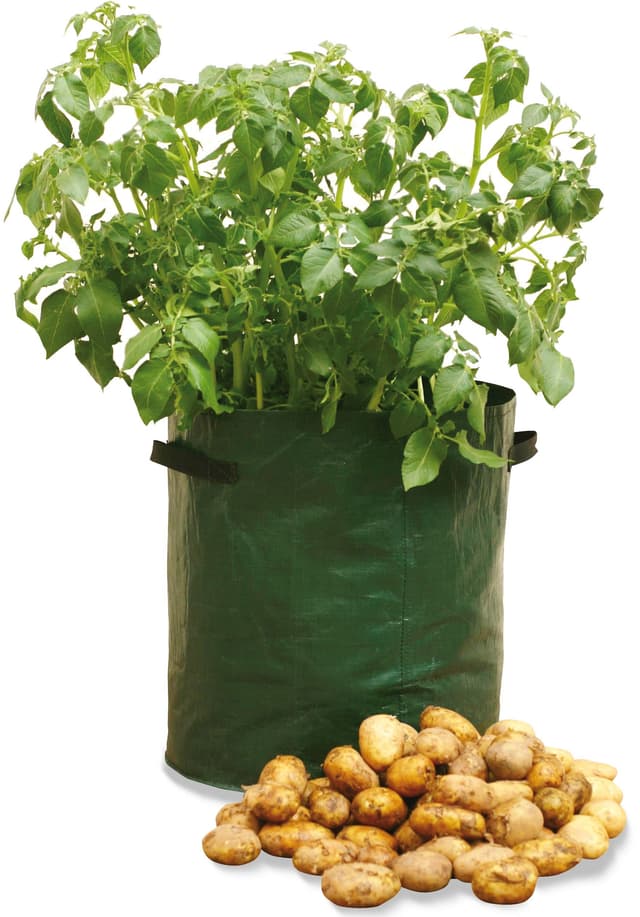 🥔🌿 Haxnicks Kartoffel-Pflanzgefäße - 3er Pack, grün - 35x35x45 cm