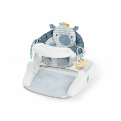 🌟 Ingenuity Prop Spot Sitzlernsitz Bodensitz für Baby - Casi Multicolored 🌟