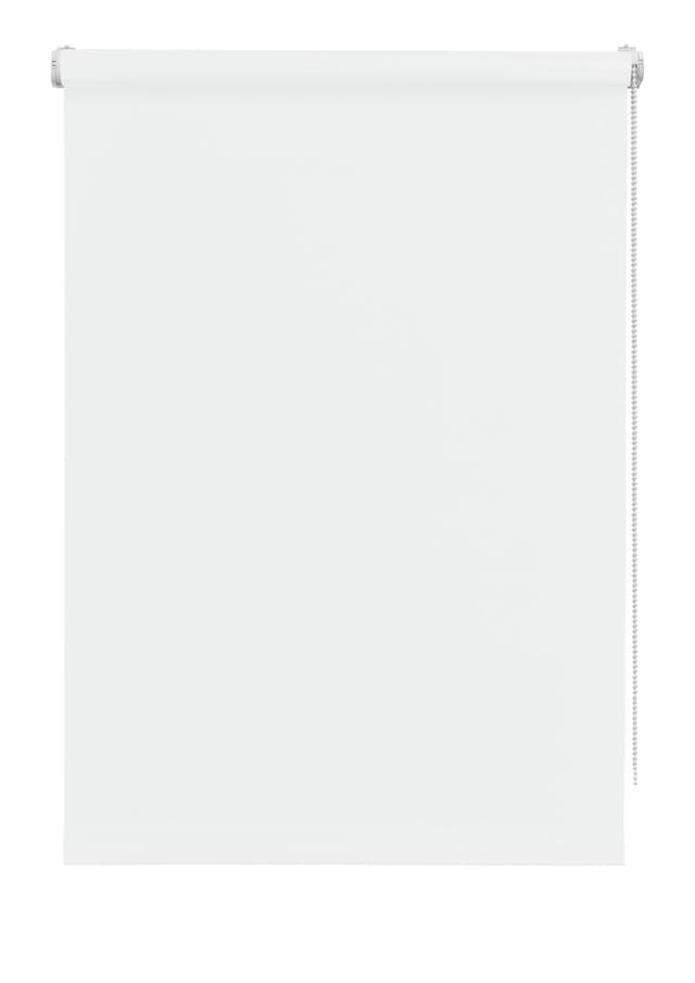 🌞🏡 Deco Company Mini-Rollo Tone zum Klemmen, Tageslicht-Rollo, Blickdicht, Weiß, 60 x 150 cm