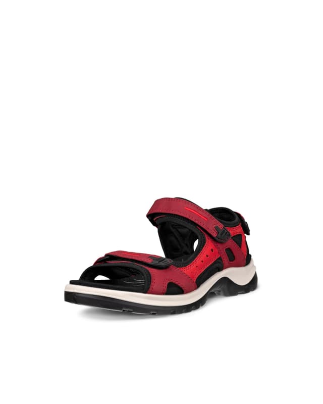 🌟 Angebot: ECCO Damen Offroad Sandalen! 🌺