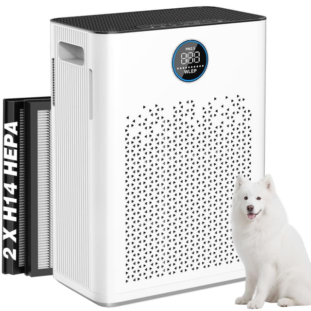 Luftreiniger für Große Räume bis 110 m² mit 6-stufigem Filtersystem 🌬️