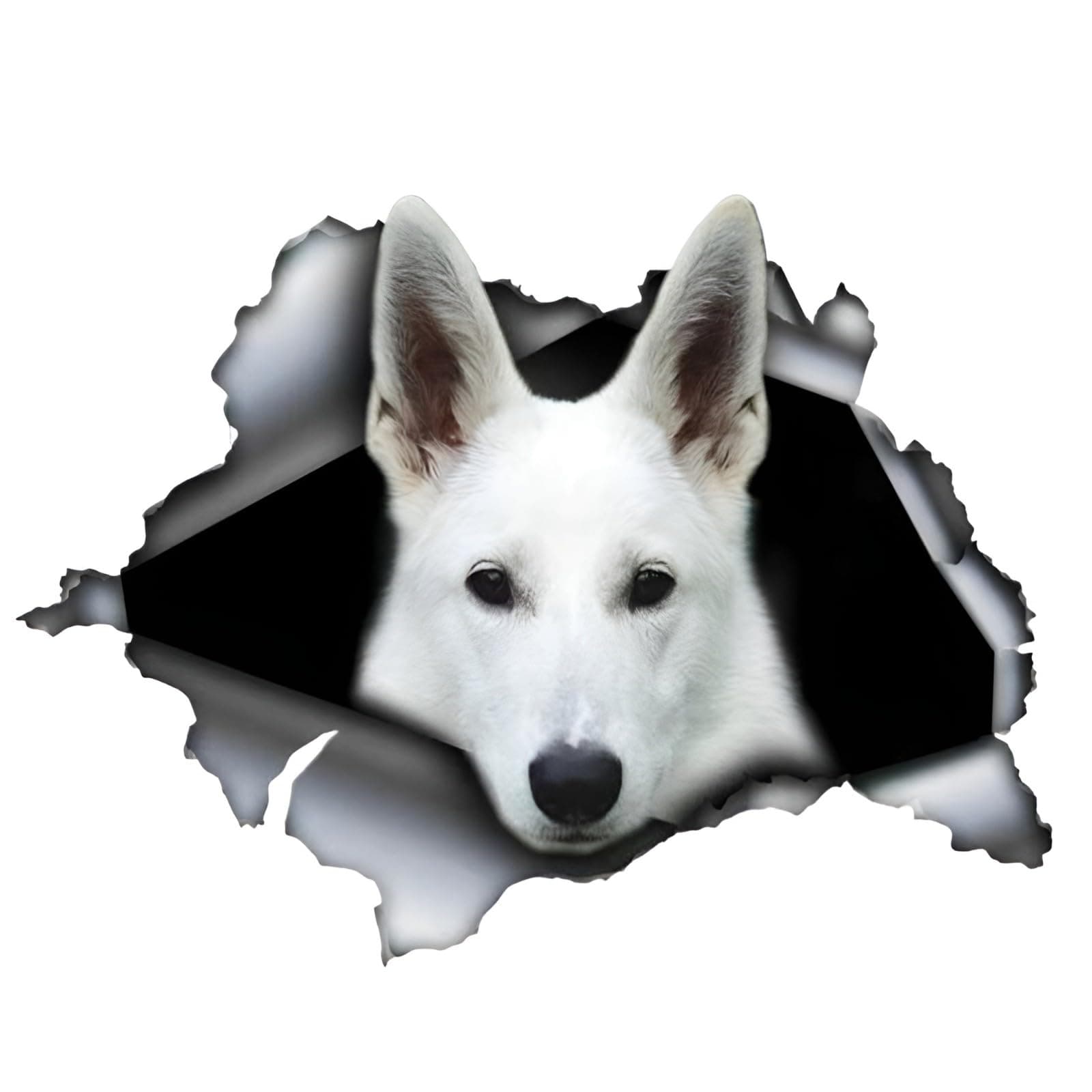 Autoaufkleber 15cm Weißer Deutscher Schäferhund Aufkleber