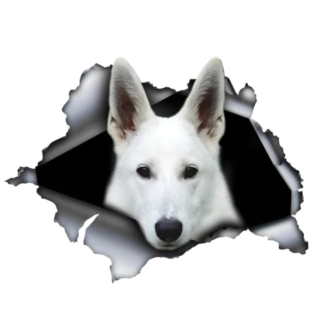 Autoaufkleber 15cm Weißer Deutscher Schäferhund Aufkleber