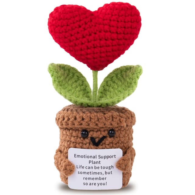 Positive Pocket Hug Herz-Blumentopf 🌟 | Bachelor & Master Geschenk 🌸