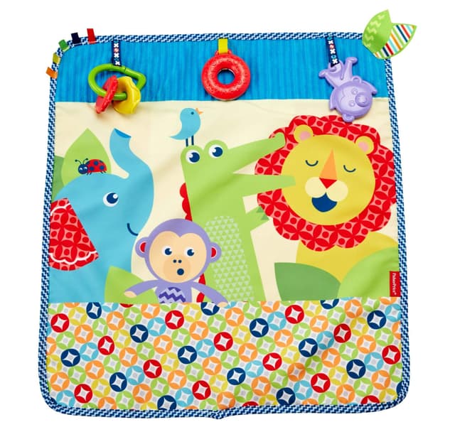 🐻🌈 Fisher Price DYW52 Kleine Tierfreunde-Spieldecke, mehrfarbig - Angebot!