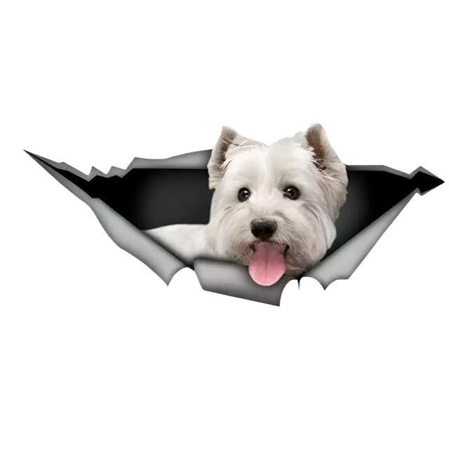 🚗 Autoaufkleber West Highland White Terrier 3D Aufkleber
