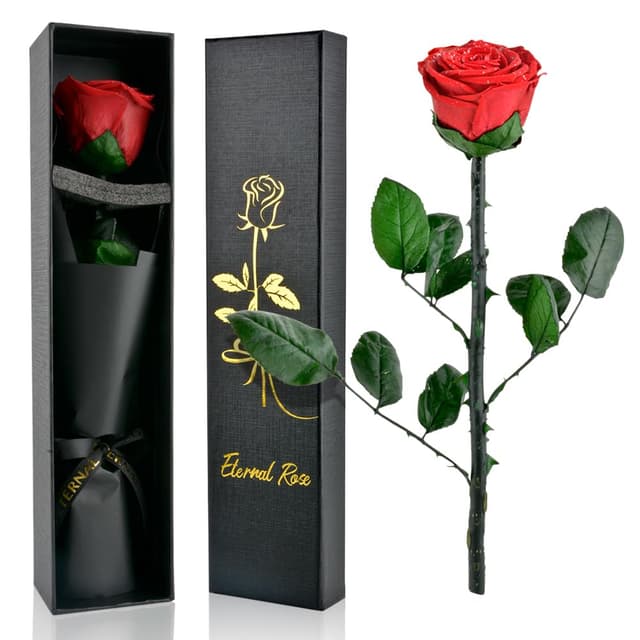 PLECUPE Ewige Rose mit Stiel in Box 🌹🎁 | Rote Rosen Geschenkbox Frauen