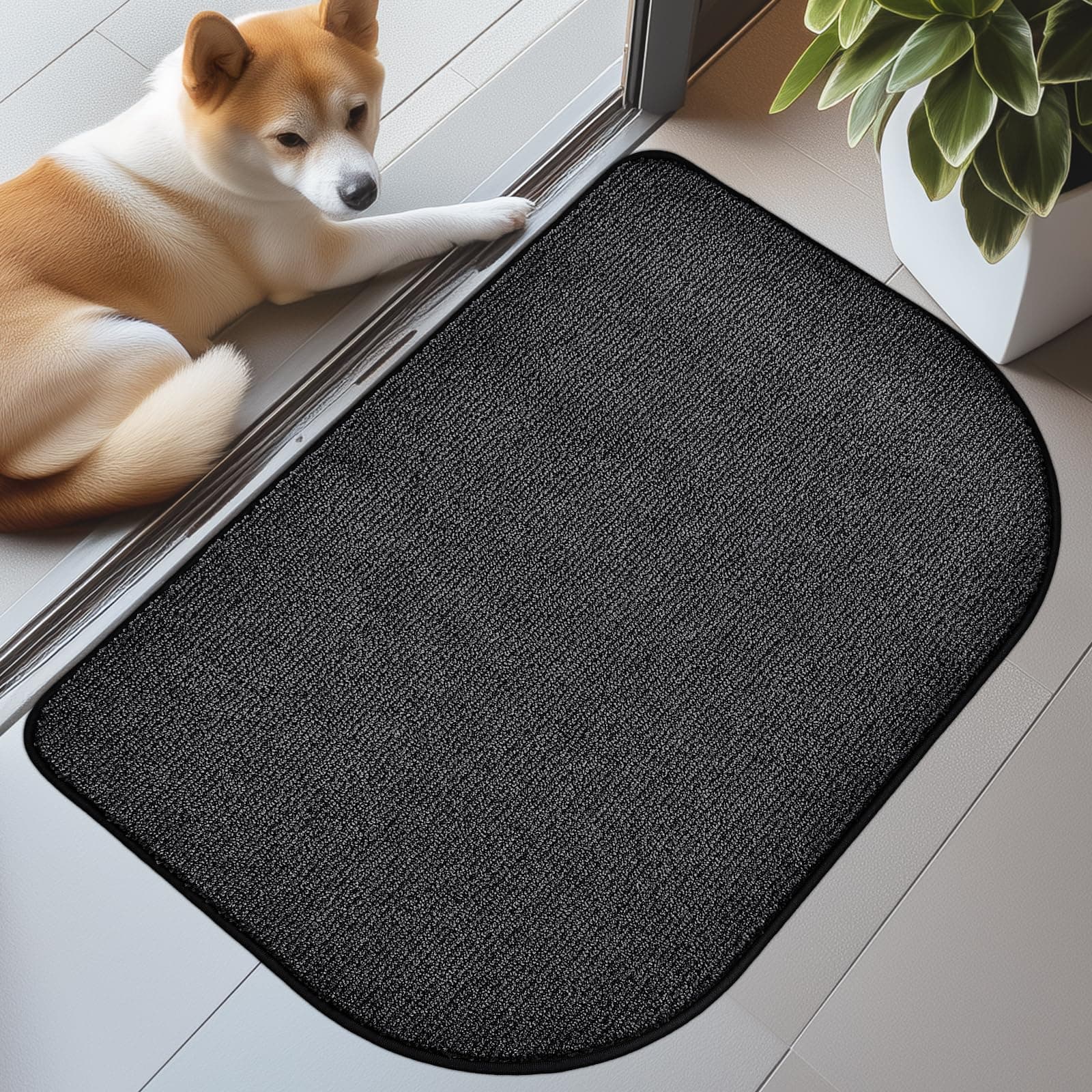 🏡 DOMUSTEX Schmutzfangmatte Innen 60x90cm Halbrund | 32.29€