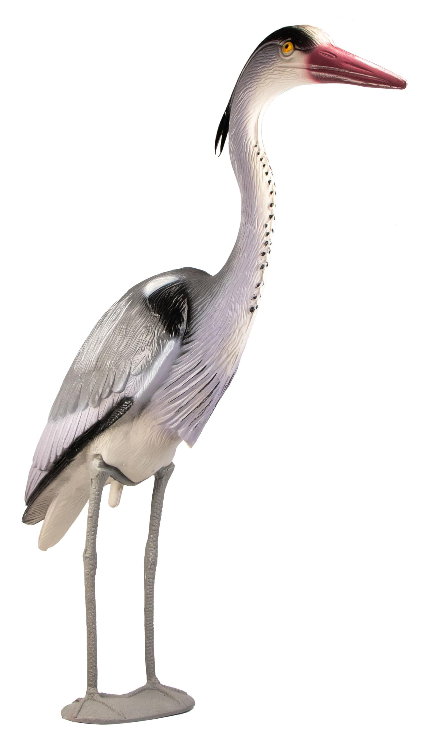 🌿🦢 MGC24® Fischreiher Kalle - Gartendeko Tierfigur Teichfigur 🦢 Reiherschreck Vogelabwehr 🌿