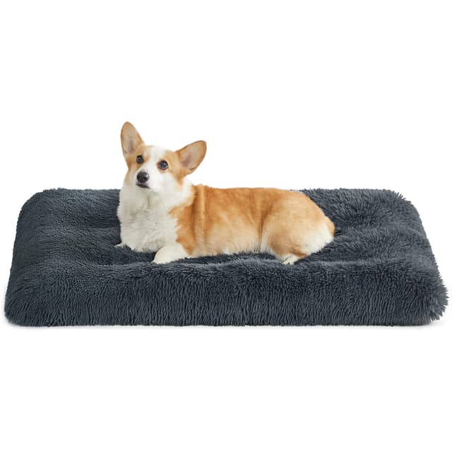 🐶 Feandrea Hundebett, Hundekissen, Flauschige Hundematte - Dunkelgrau