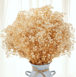Barlone 43cm Schleierkraut Getrocknet Trockenblumen Deko 🌸🌿