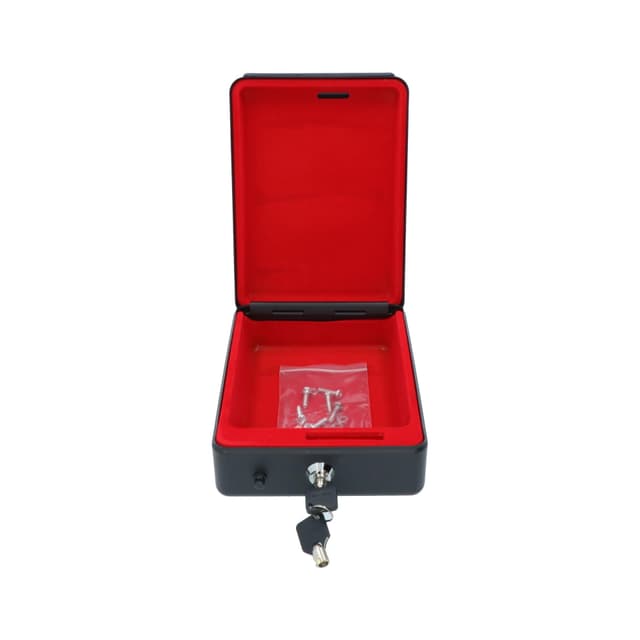Carpoint Auto-Safe
