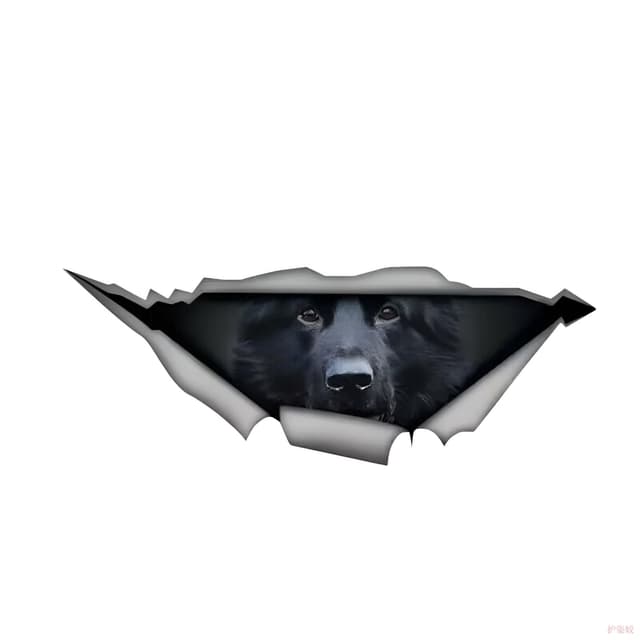Autoaufkleber 25Cm Deutscher Schäferhund Aufkleber German Shepherd Car Stickers Haustier Hund Zerrissenes Aufkleber Wasserfester Reflektierende Autoaufkleber Auto Stoßstange Heckscheibe Dekor D014# 25cm(9.84Inch)