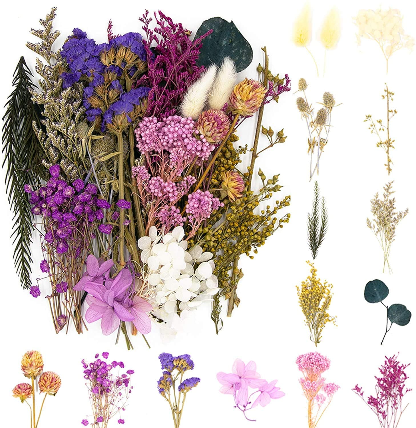 iDattel Natürliche Getrocknete Blumen,Blumen Natürliche Gemischte,DIY Natürliche Getrocknet Blumen Set für Kunst Basteln DIY Harz Scrapbooking Handwerk Karten Machen（violett）
