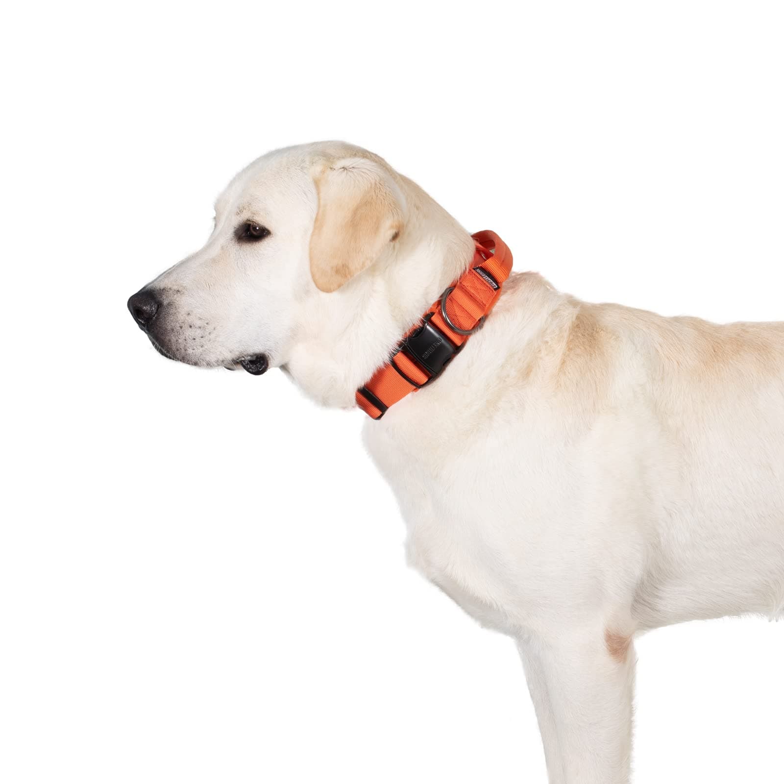 OneTigris Hunde Halsband mit Metallschnalle für Hunde (Orange, L) L Orange