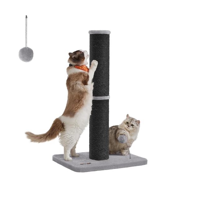 Feandrea Kratzbaum, 85 cm hoch, Kratzsäule XL, 13 cm Dicker Stamm, Katzenbaum, Kratzstamm für mittelgroße und große Katzen, Sisalstamm, mit Plüschball und Glocke, tintenschwarz PCA041B01 XL (13 cm Dia.) tintenschwarz