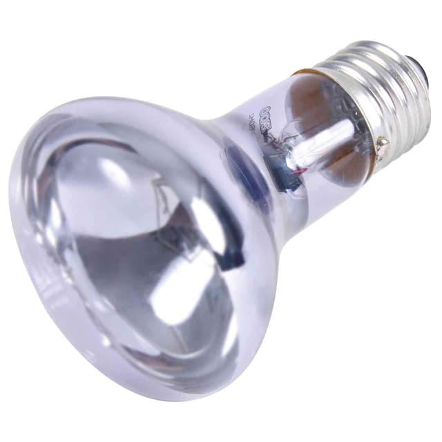 Trixie 76007 Neodymium Wärme-Spotlampe, ø 63 × 100 mm, 75 W