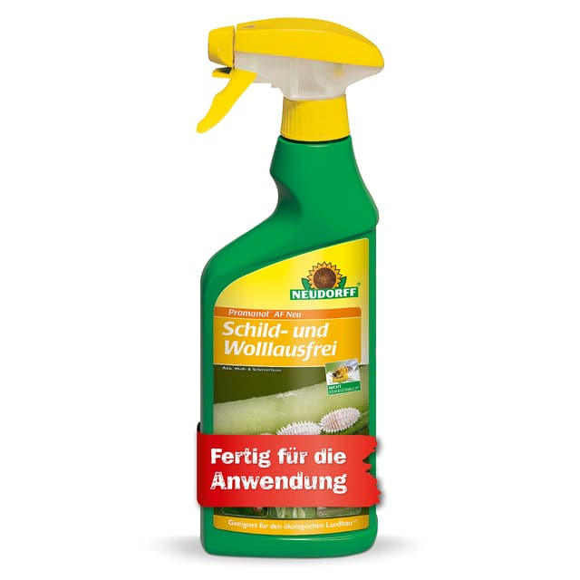 Neudorff Promanal AF Neu Schild- und Wolllausfrei – Bekämpft Schild- und Wollläuse sowie Spinnmilben an hartlaubigen Zierpflanzen wie z.B. Oleander und Olive, 500 ml Spray