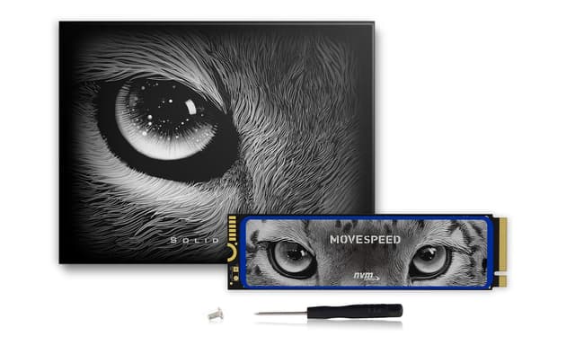 MOVE SPEED HB7450 2TB M.2 SSD | PCIe 4.0 Gen4 NVMe Solid-State-Laufwerk – bis zu 7.450 MB/s Lesegeschwindigkeit, Fortschrittliche 3D-NAND-Technologie, Geeignet für PS5, Desktops & Laptops