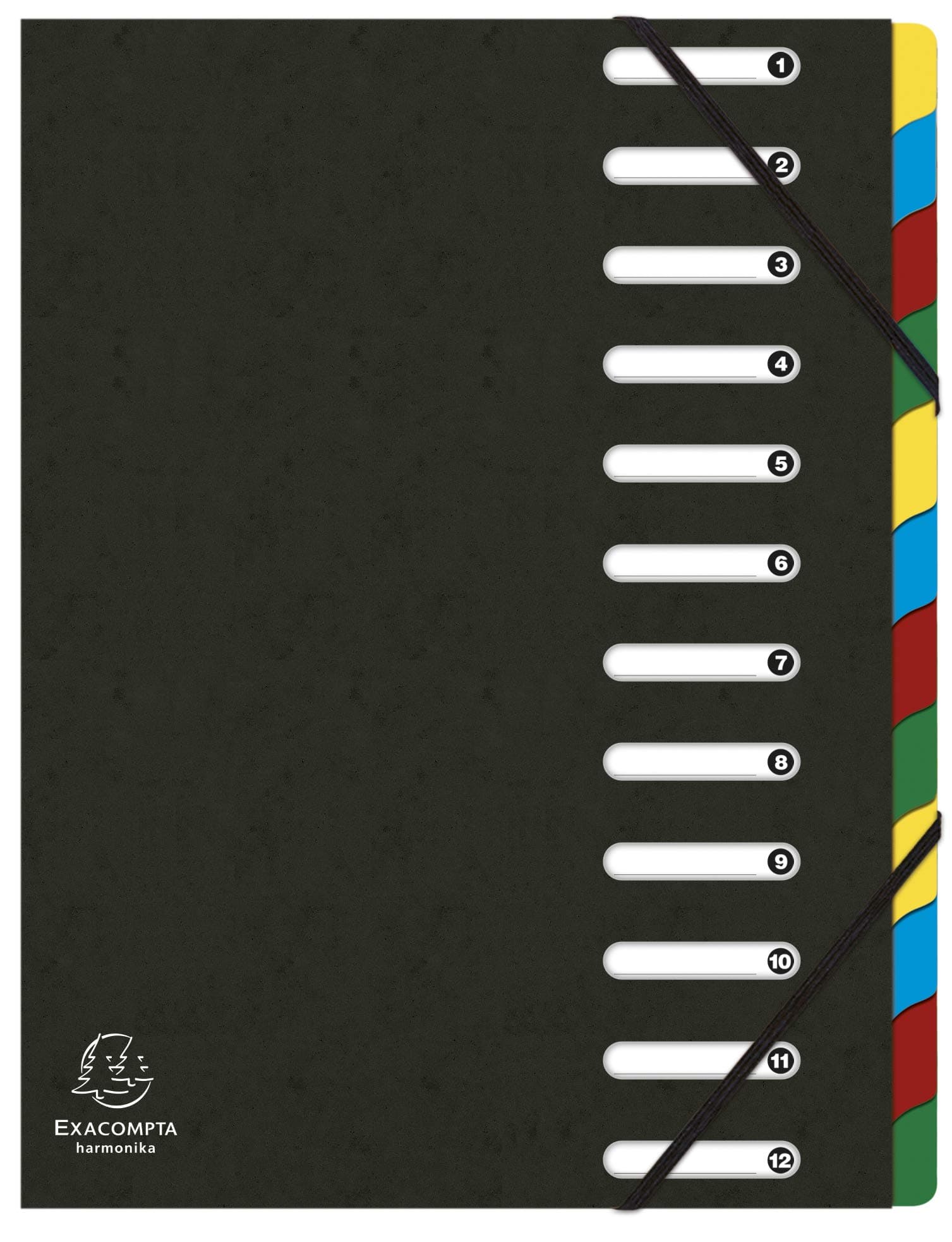 Exacompta 55121E Premium Ordnungsmappe Harmonika. Aus extra starkem Colorspan-Karton DIN A4 12 Fächer und 2 Gummizüge mit Indexfenster und dehnbarem Rücken Register-Mappe schwarz [Office Product] 12 Fächer schwarz
