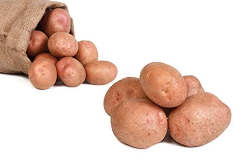 FRUCHTVERSAND24® Speisekartoffeln Laura 12,5kg | lecker und cremig im Geschmack | sehr gelbfleischig | vorw. festkochend | für Ofenkartoffeln, Pommes Frites, Salzkartoffeln, Wilde Kartoffeln 12.5 kg (1er Pack)