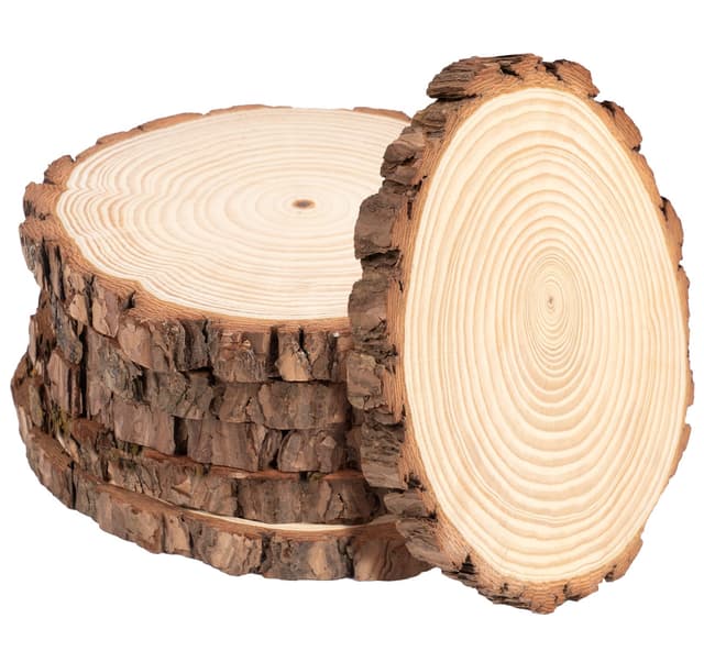 Truevaste Holzscheiben 12er Set 18-20 cm Runde Baumscheiben ohne Loch – Unbehandelte Holz Log Scheiben aus Kiefernholz für DIY Basteln, Hochzeit und Weihnachtsdeko, 15mm Dicke 12 Stücke Holzscheiben 18-20 cm