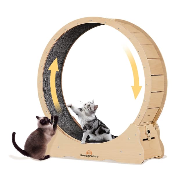 Homegroove Katzenlaufrad,132 cm Laufrad für Wohnungskatzen, Katzenlaufrad-Laufband mit abnehmbarem Teppich zur Gewichtsabnahme und Gesundheitsförderung bei Katzen (Natural Wood Color, XXL) Natural Wood Color XXL