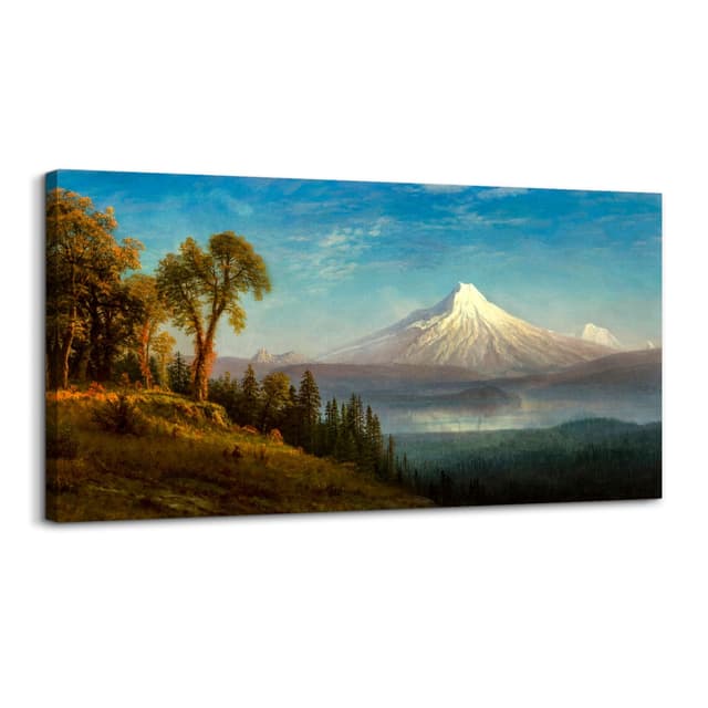 hyidecorart Vintage Leinwand Bilder, 50x100 cm Groß Wandbilder Wohnzimmer Schneegebirgs Landschaft Bild Aesthetic, Landscape Wanddeko Schlafzimmer Gemälde Badezimmer Kunst Büro Zimmer Esszimmer Schneebedeckte Berglandschaft 100L x 50B cm