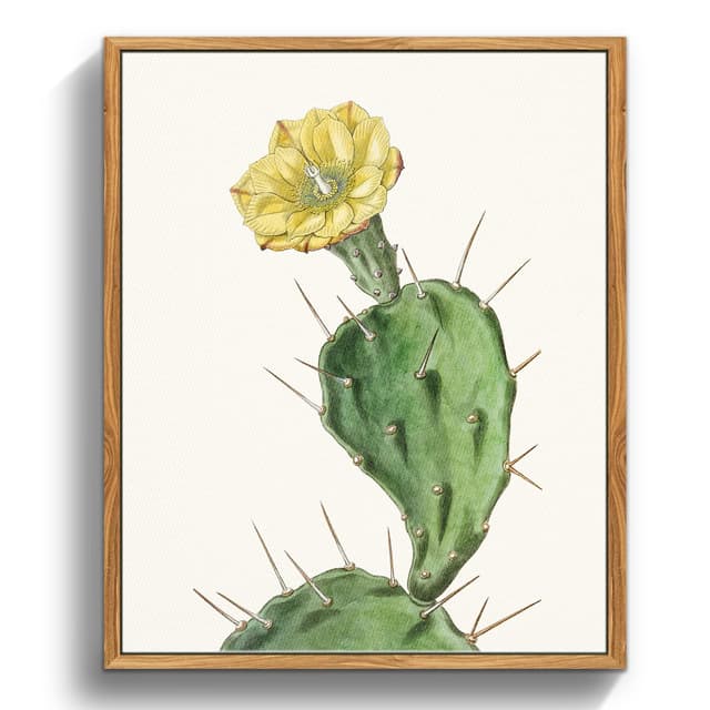 MHARTK66 Vintage Botanisch Leinwand Bilder mit Rahmen Holz, 20x25 cm Klein Wandbilder Wohnzimmer Einstachelige Opuntia Flowering Plants Bild Aesthetic, Wanddeko Schlafzimmer Badezimmer Büro Zimmer Einstachelige Opuntie 25L x 20B cm