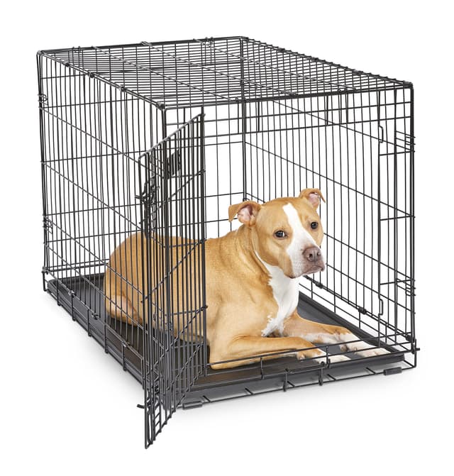 MidWest Homes for Pets iCrate Modell 1536DDU Hundebox, ca. 90 cm lang, mit Einzeltür, auslaufsicherer Bodenwanne, Bodenschutzfüßen, Trenneinsatz und patentierten Funktionen, schwarz L 92 x B 58 x H 62 cm Einzeltür