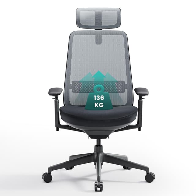 COLAMY Ergonomischer Bürostuhl, Mesh Computerstuhl mit hoher Rückenlehne, Office Chair mit Lendenwirbelstütze, verstellbare Kopfstütze und 4D Armlehnen, Schiebesitz, Schwarz & Grau Einheitsgröße Schwarz & Grau