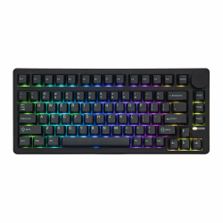 EPOMAKER QK81 75% Drahtloses Mechanisches Tastatur Gaming, QMK/VIA & Hot-Swappable, 81 Tasten mit Metall-Drehregler, 2,4 GHz/BT/USB, Creamy Gasket, RGB Backlit (Schwarz, Wisteria Linear) Schwarz Wisteria Linear