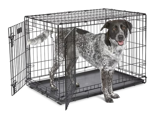 MidWest Homes for Pets iCrate Modell 1536DDU Hundebox, ca. 90 cm lang, mit Doppeltür, auslaufsicherer Bodenwanne, Bodenschutzfüßen, Trenneinsatz und patentierten Funktionen, schwarz L 92 x B 58 x H 62 cm Doppeltüren