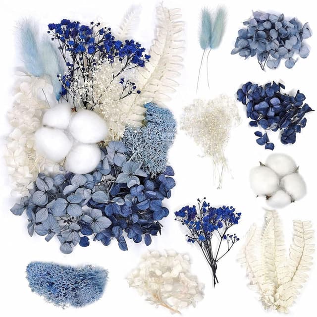Cohentbliss Natürliche getrocknete Blumen DIY gemischte getrocknete Blumen Trockenblumen Set DIY Natürliche Getrocknet Blumen Set für Kunst DIY Harz Scrapbooking Handwerk Karten Machen