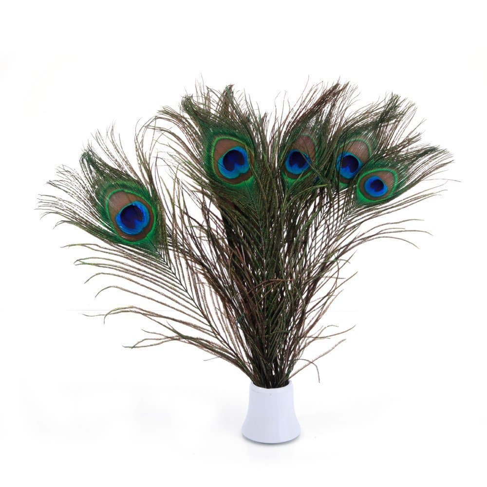 PACOLO Echte soziale Pfauenfedern, 25–30 cm, tolle Dekoration für Hochzeit, Weihnachten, Halloween, Haus (10 Stück natürlich)