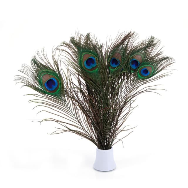 PACOLO Echte soziale Pfauenfedern, 25–30 cm, tolle Dekoration für Hochzeit, Weihnachten, Halloween, Haus (10 Stück natürlich)